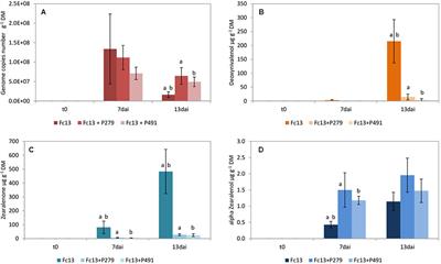 Antagonistic Potential of Fluorescent Pseudomonads Colonizing Wheat Heads Against Mycotoxin Producing Alternaria and Fusaria